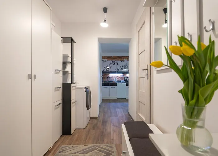 Karkonosky - Majowka Apartmán